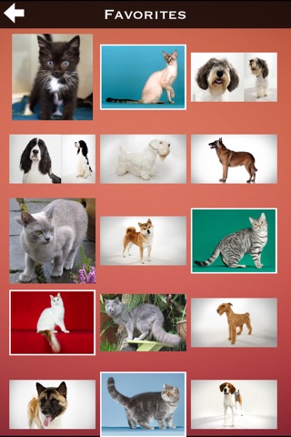 Cats And Dogs Collection screenshot 3