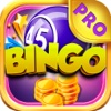 Bingo Perfecto PRO - Play Online Casino and Lottery Card Game for FREE !