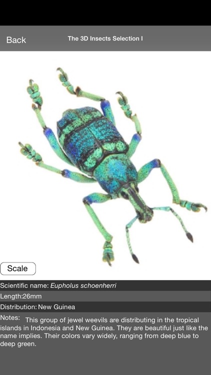 The 3D Insects SI screenshot-4