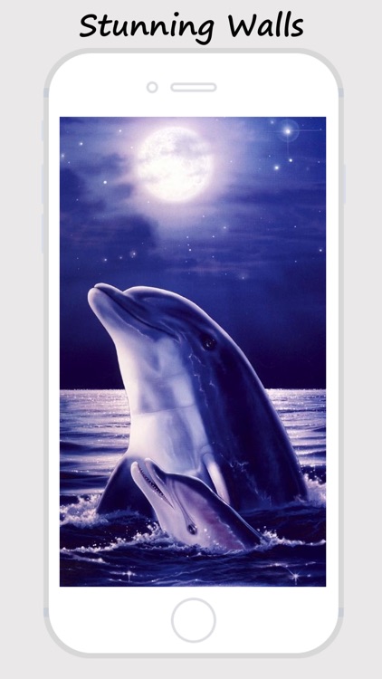Dolphin Wallpapers - Best Collections Of Dolphin Pictures screenshot-3