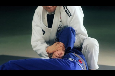 BJJ: Side Control and N S screenshot 3