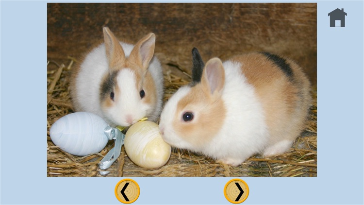 lovely rabbits for kids - no ads screenshot-4