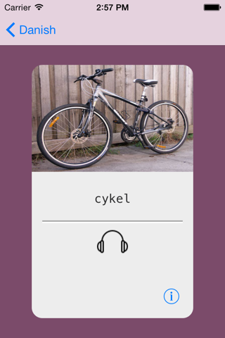 Learning Danish Basic 400 Words screenshot 4