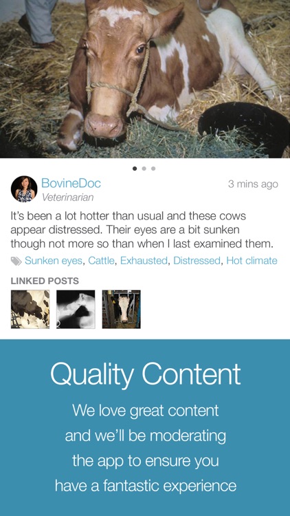 ViralVet screenshot-4