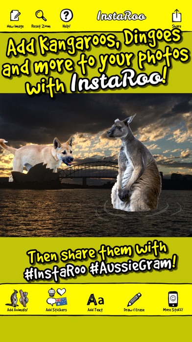 How to cancel & delete InstaRoo - Show Your Australian Side With An #AussieGram! from iphone & ipad 3