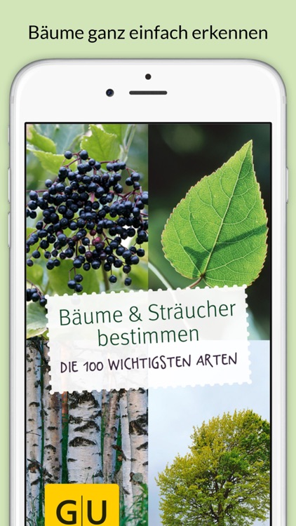 Bäume & Sträucher bestimmen – entdecken Sie die Natur und erkennen Sie welche Pflanzen, Blätter und Hölzer Sie umgeben