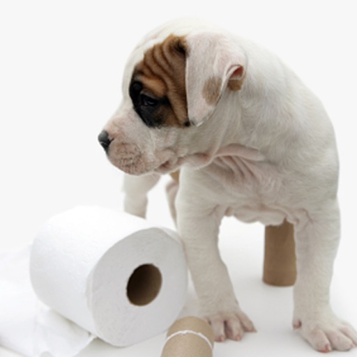 Dog Potty Training Guide