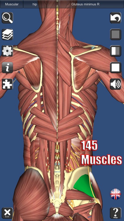3D Anatomy screenshot-3