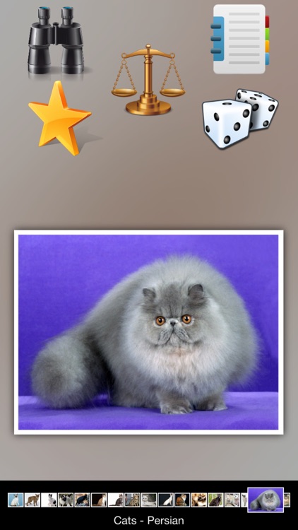Cat Breeds Guide screenshot-4
