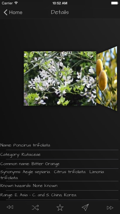 Medicinal Herbs Guide screenshot-4