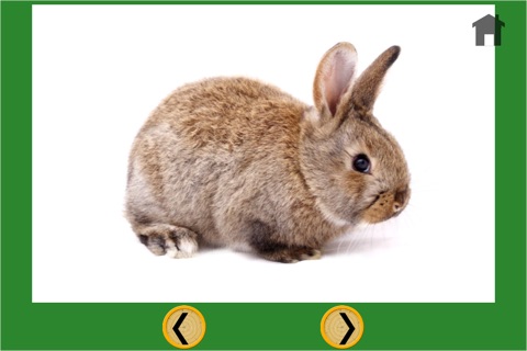 Rabbits and darts for children - free game screenshot 3