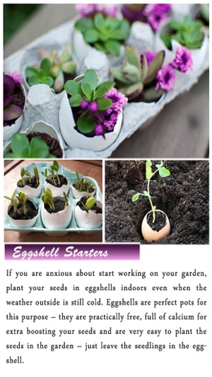 DIY Gardening Tips