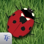 Top 20 Education Apps Like Fun Bugs - Best Alternatives