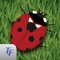 Play with bugs on your iPad or iPhone