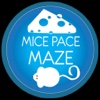 MicePaceMaze