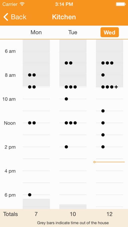 Lively Emergency Response and Activity Sharing