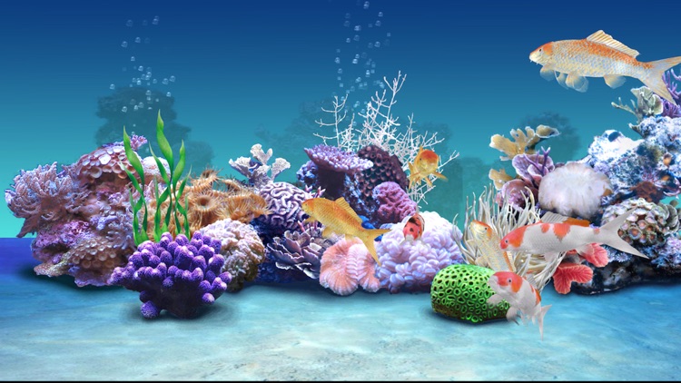 Koi Aqua HD - Real Sim Coral Reef Plants and Live Freshwater Fish Tank Pond & Virtual Tropical Fishes Tour