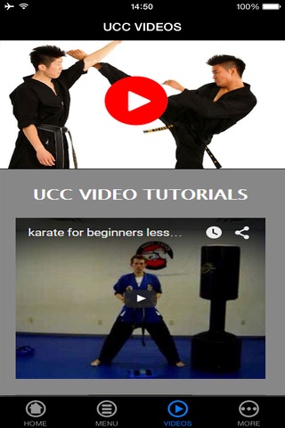 Learn Karate - Beginner's Guide screenshot 4