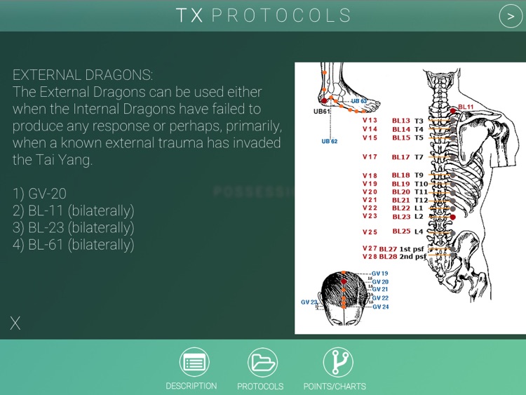 Five Element Clinic Book HD