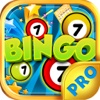5 Bingo Balls PRO - Play Online Casino and Number Card Game for FREE !