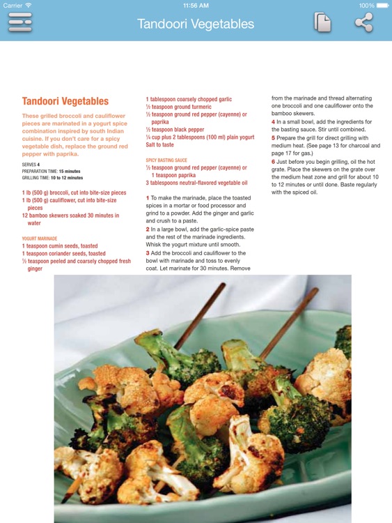 Barbecue Cookbook for iPad screenshot-3