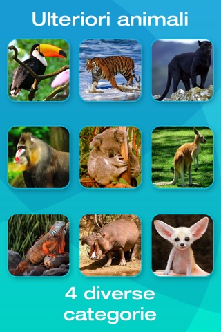 Safari and Jungle Animal Picture Flashcards for Babies, Toddlers or Preschool screenshot 4