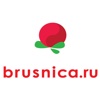 Brusnica - интим-магазин