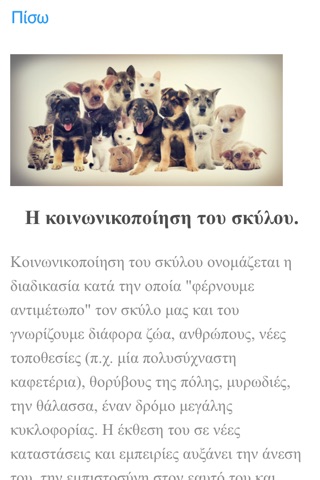 Doggrin screenshot 3