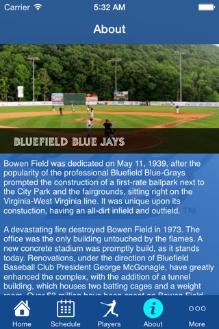 Bluefield Blue Jays screenshot 3