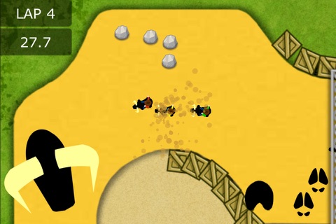 Race Bulls screenshot 4