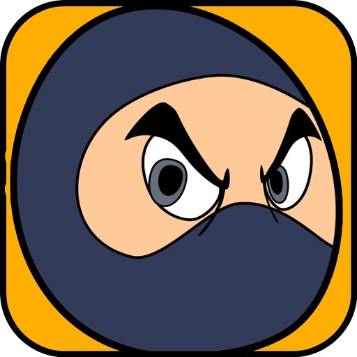 Angry Ninja Smash Kick iOS App