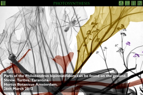 Photosynthesis Art Exhibition screenshot 4
