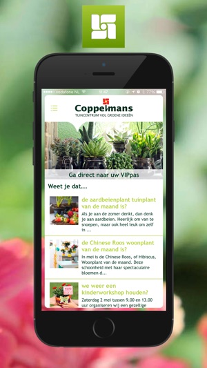 Coppelmans(圖1)-速報App