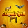 Animals Spell - Learn To Spell