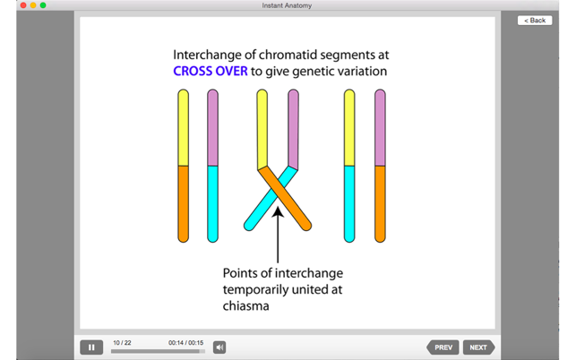 Instant Anatomy(圖5)-速報App