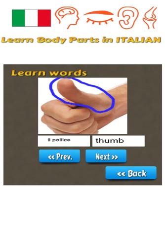 Learn Body Parts in Italian screenshot 3