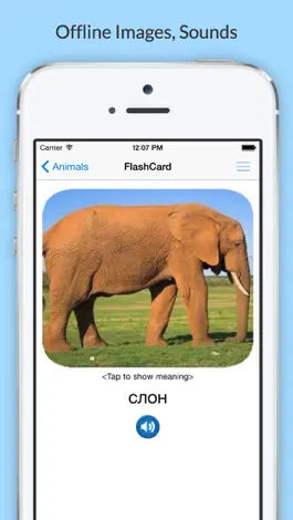 Game screenshot Learn Russian with Common Words apk
