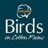 Birds on Cotton Farms