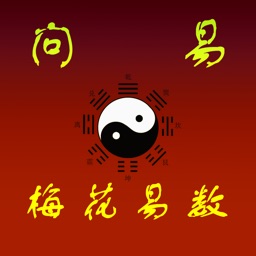 梅花易数--专业大师级占卜大全