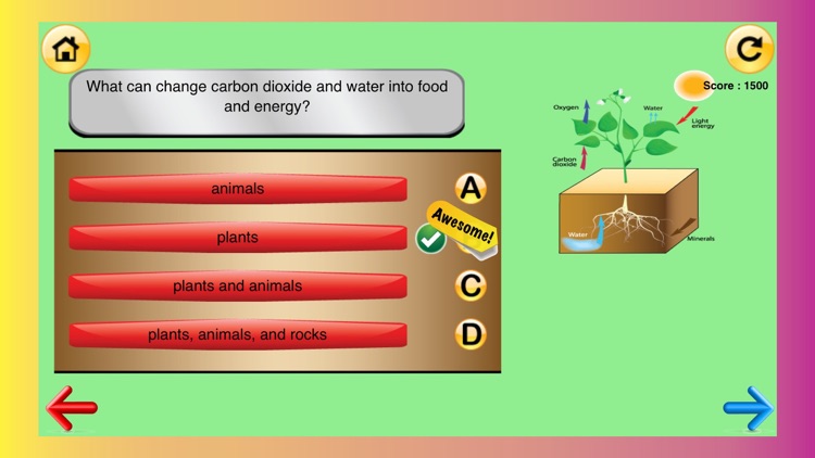 4th Grade Science Quiz # 2 for home school and classroom screenshot-3