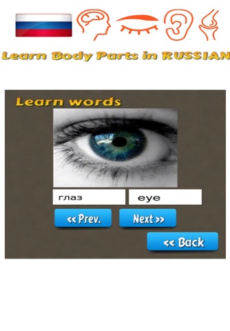 Learn Body Parts in Russian screenshot 2