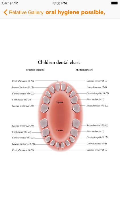 Dictionary of Dental Terminology screenshot-3
