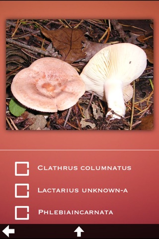 Mushrooms Encyclopedia Pro screenshot 3
