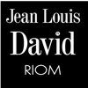 Jean Louis David Riom