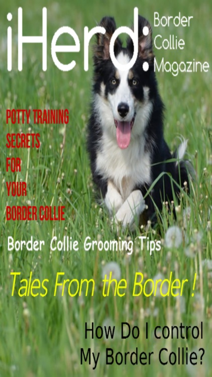 iHerd: Border Collie Lovers Magazine screenshot-3