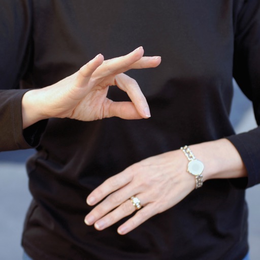 Sign Language Guide - American Sign Language Learning Signs Icon
