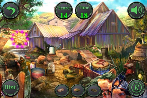 Hidden Objects Valley screenshot 3