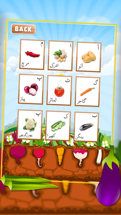 Urdu Qaida Vegetable Learning Urdu - Kids Educational Book