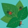 IPM Toolkit IPM Toolkit