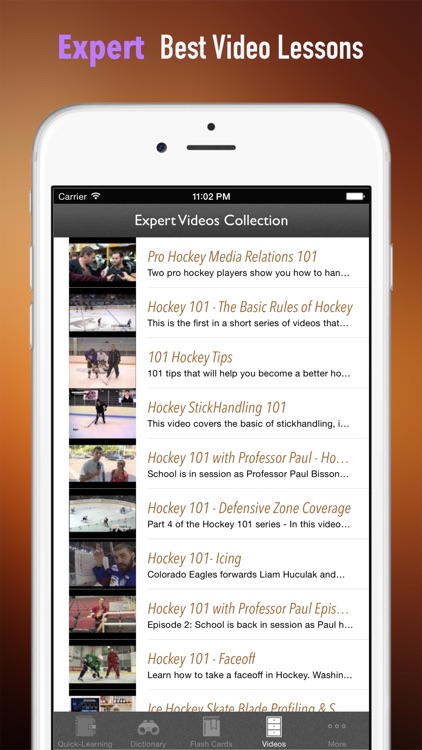 Ice Hockey 101: Quick Study Reference with Video Lessons and Glossary screenshot-4